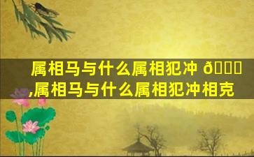 属相马与什么属相犯冲 🐝 ,属相马与什么属相犯冲相克